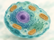 Ilustrácia bunky s jadrom a mitochondriami