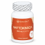 Kingray Natokinaza 2000 FU – 100 kapsul Kingray Natokinaza 2000 FU – 100 kapsul
