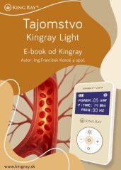 Tajomstvo Kingray Light (e-kniha)