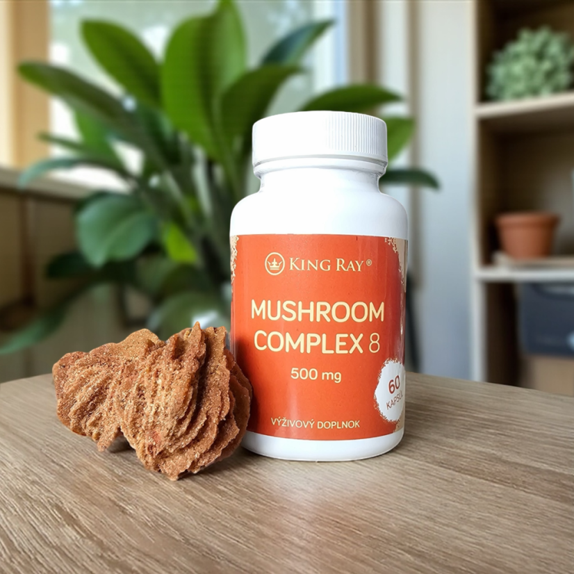Mushroom Complex 8 (Ohňovec, Chaga) 500mg 60kps - komplex 8 hub