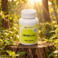 Boswellia serrata – izvleček 450 mg, 120 kapsul