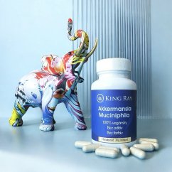 Akkermansia muciniphila – Pasteurized Culture with Inulin (60 capsules)