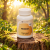 Moringa – extrakt z listů 450 mg, 120 kapslí