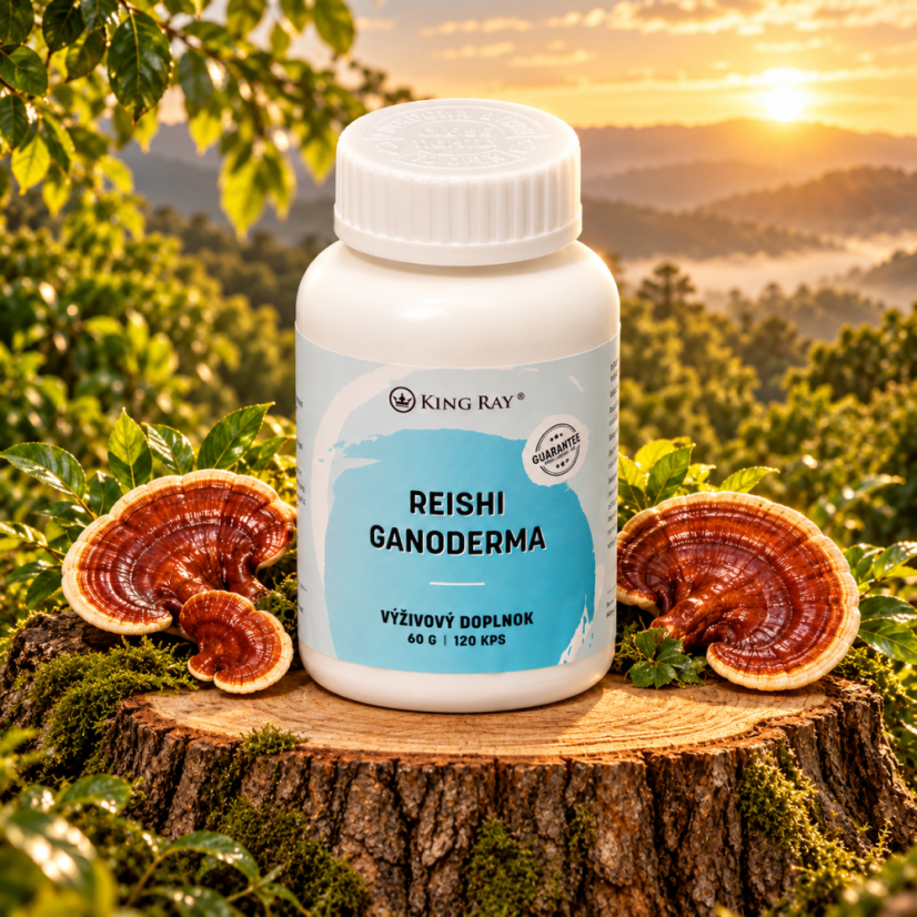 KINGRAY Reishi Ganoderma – prehransko dopolnilo, 120 kapsul