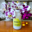 Boswelia seratta 120kps x 450mg extrakt