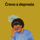 Střevo a deprese