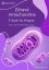 Všetko o mitochondriách a súvis s rakovinou (e-kniha)