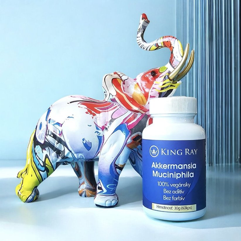 Akkermansia muciniphila – Pasteurized Culture with Inulin (60 capsules)