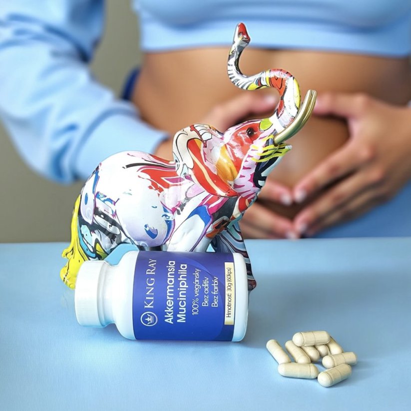 Akkermansia muciniphila – Pasteurized Culture with Inulin (60 capsules)