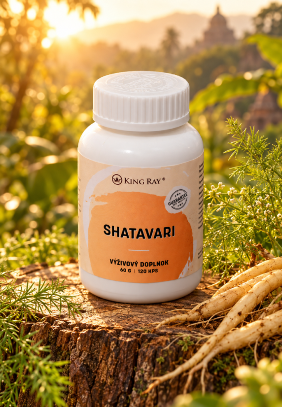 KINGRAY Shatavari – Root Extract DER 10:1, 120 Capsules