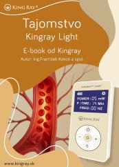 Tajomstvo Kingray Light (e-kniha)
