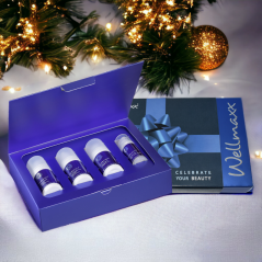 Wellmaxx Hyaluron5 - cosmetics set 2 (Hyaluron gel, Collagen Booster serum, eye gel, moisturizer cream)