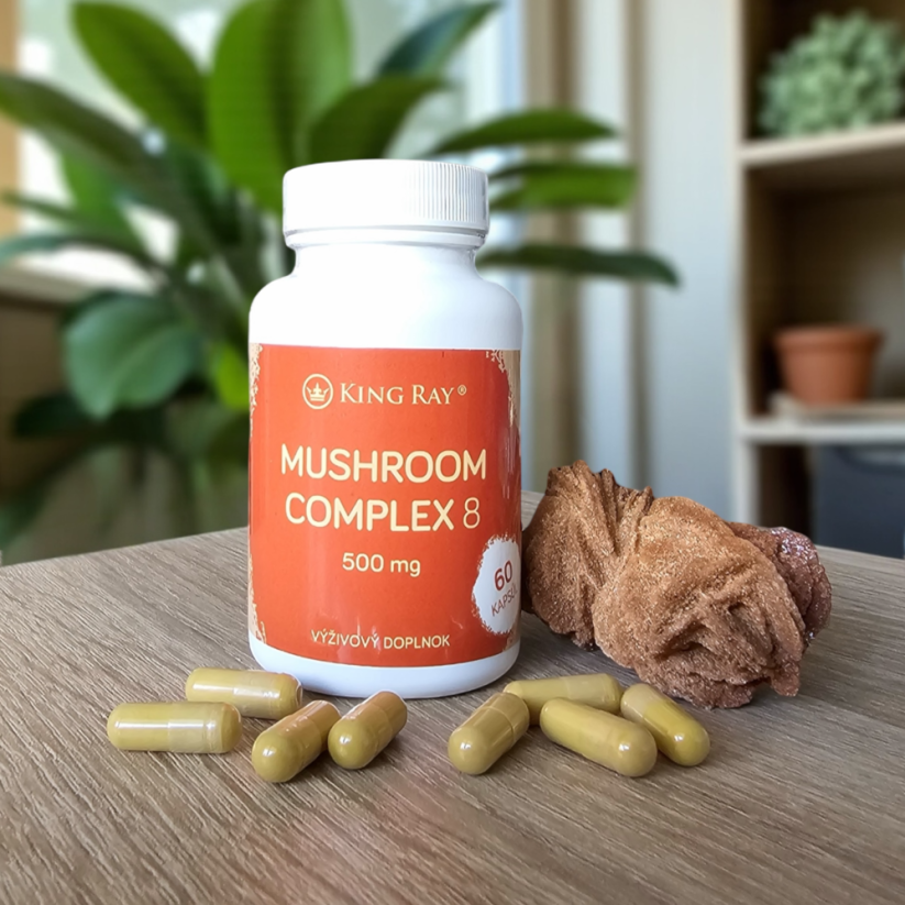 Mushroom Complex 8 (Phellinus, Chaga) 500 mg • 60 capsules – complex of 8 mushrooms