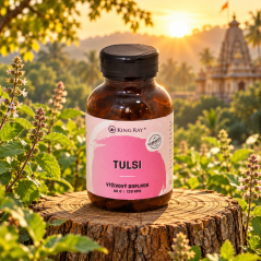 Tulsi – bazalka posvátná, 120 kapslí