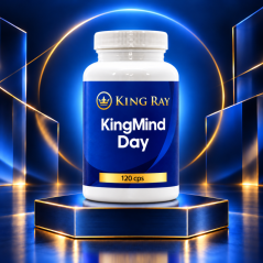 KingMind Day – z magnezijem ter vitaminoma B6 in B12 za podporo normalnemu psihološkemu delovanju in zmanjševanje utrujenosti, 120 kapsul