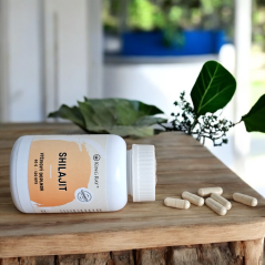 Shilajit (Mumio) 450mg x 120kps extrakt