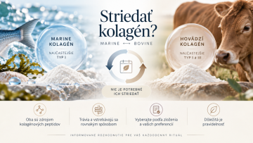 Kolagen: jaké druhy existují a jak si vybrat mořský nebo hovězí kolagen?