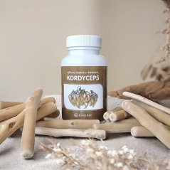 Cordyceps sinensis 90 kps x 500mg 1 balenie
