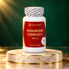 KINGRAY Mushroom Complex 8 – Komplex aus 8 Pilzen, 500 mg, 60 Kapseln