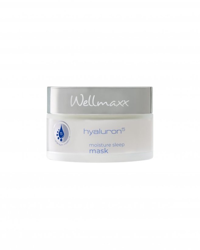 Wellmaxx Hyaluron moisturizing night mask 75ml