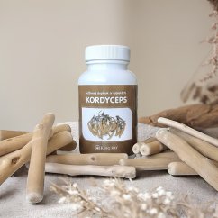 Cordyceps sinensis 90 kps x 500mg 1 balení