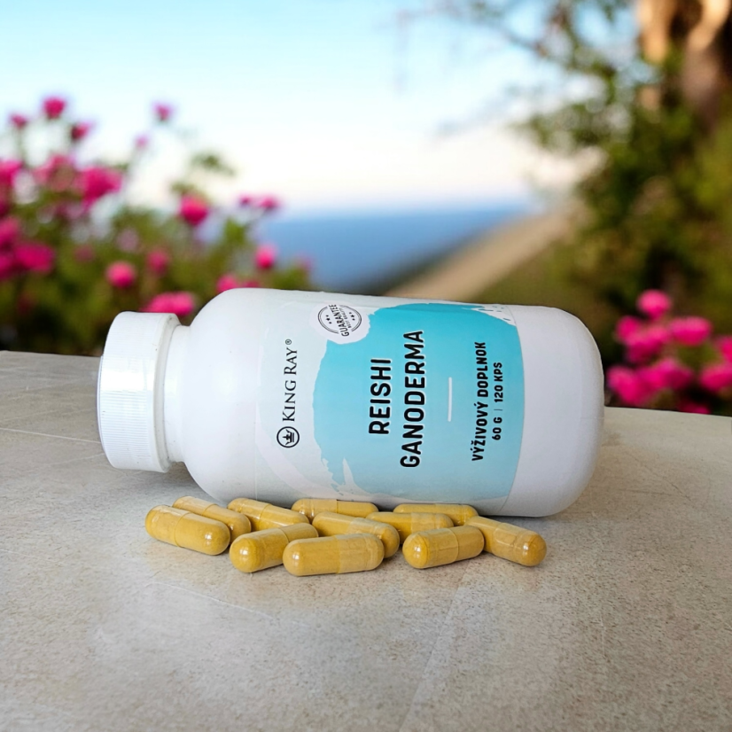 Reishi Ganoderma 120kapsule extrakt