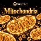 Mitochondrie