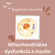 Aké ochorenia vznikajú z poškodenia mitochondrií? Ako predísť mitochondriálnej dysfukncii?