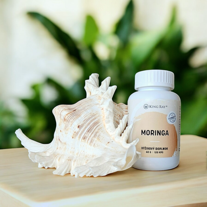 Moringa 450mg x 120kps extrakt